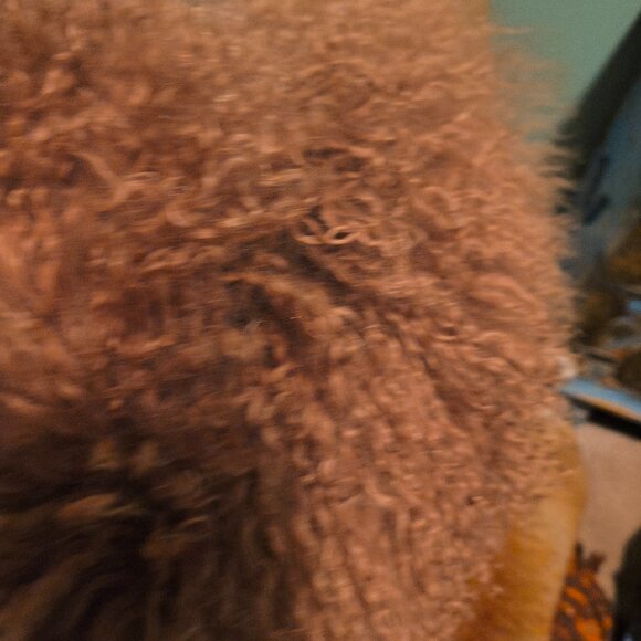 Bearpaw fur boots - Picture 2 of 6